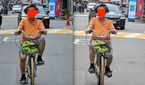 A collage of two photos taken by Fold 5 and Pixel Fold