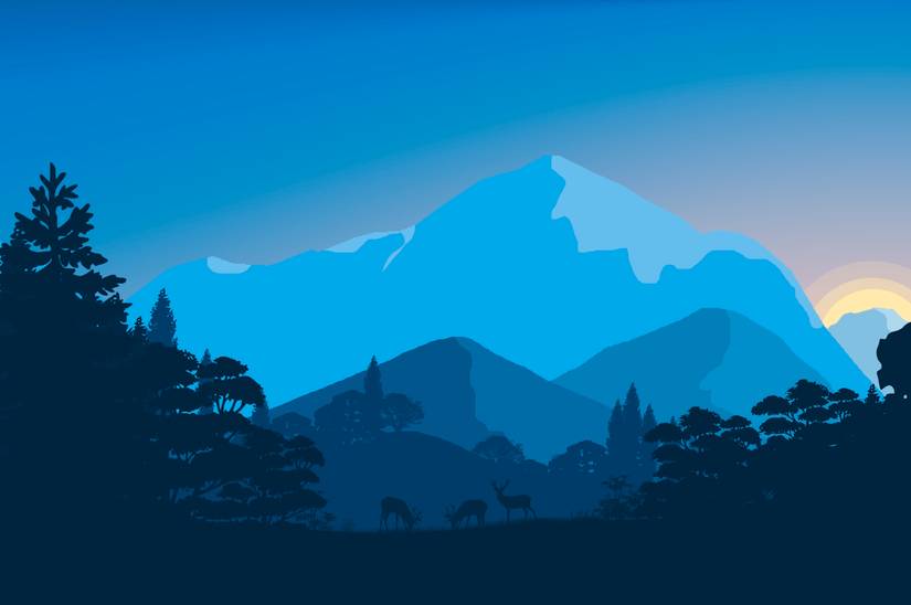sunset-8k-forest-4k-wallpaper