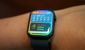 The Apple Watch 9 smart stack widgets.