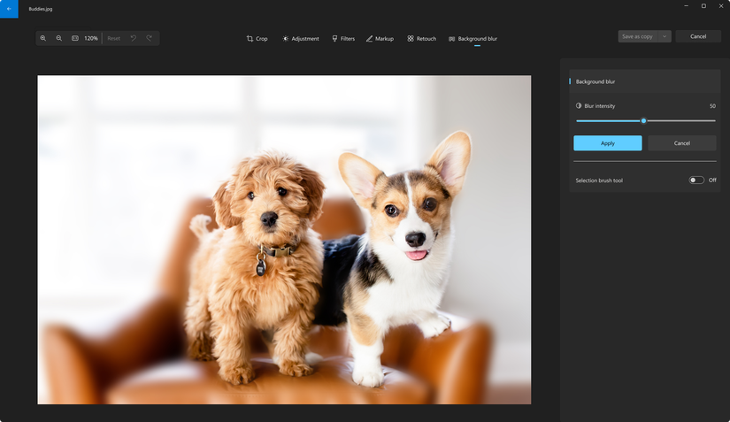 A blurred photo in the Windows 11 Photos app