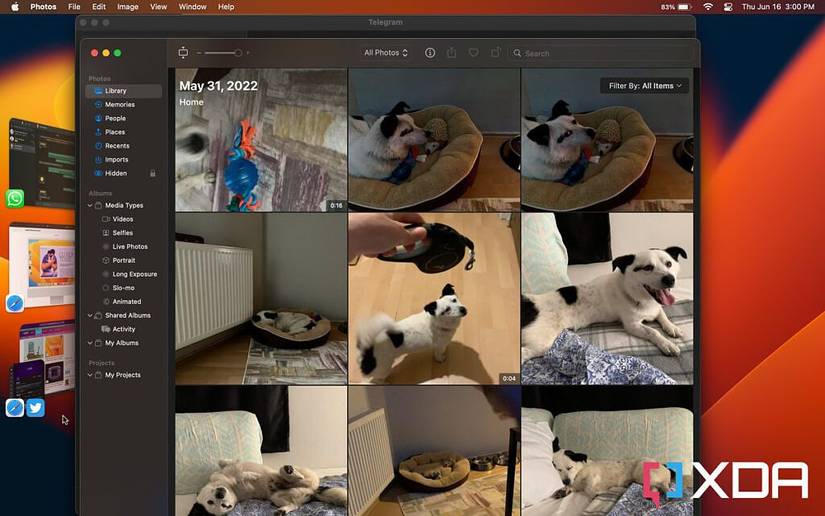 Photos and Telegram apps used together with Stage Manager on macOS.