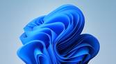 Th edefault Windows 11 Bloom wallpaper in light mode