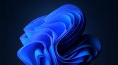 Th edefault Windows 11 Bloom wallpaper in dark mode
