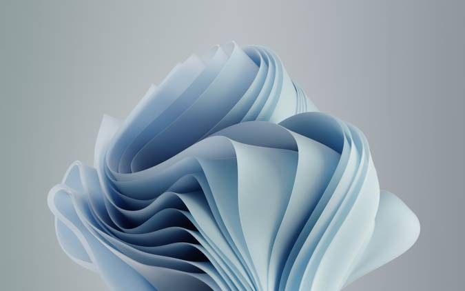 A variant of the Windows 11 Bloom wallpaper with a nearly-white blue color
