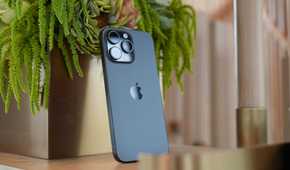 An iPhone 15 Pro Max propped up against a plant.