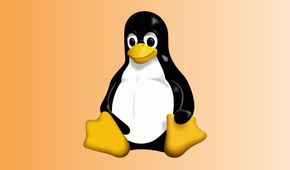 Linux Tux.