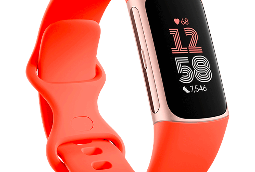 Google Wallet Fitbit Pay Review Google Wallet Smart Pay Watch