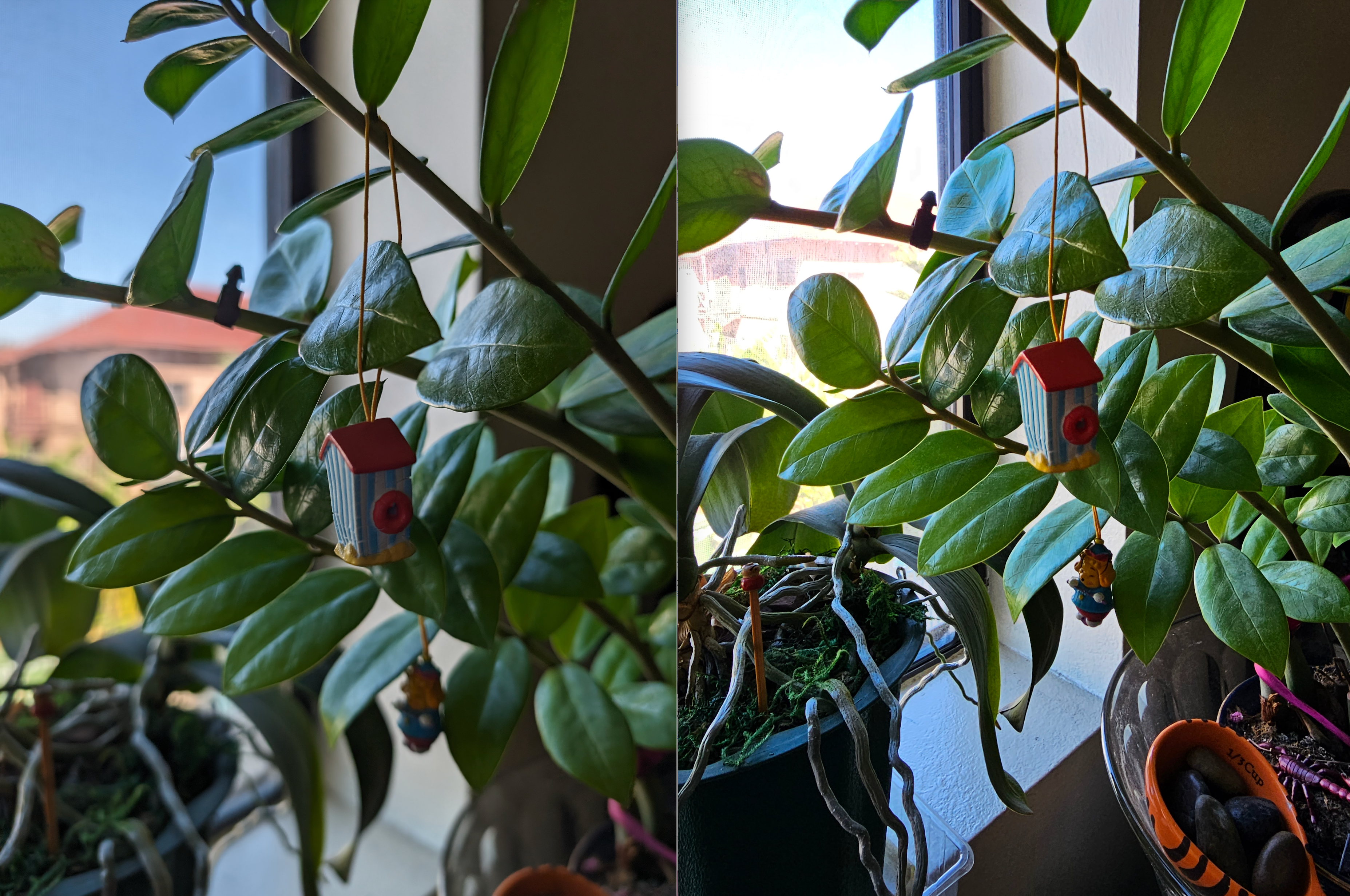 Main camera, Pixel 8 Pro (left); Galaxy S23 Ultra (right)