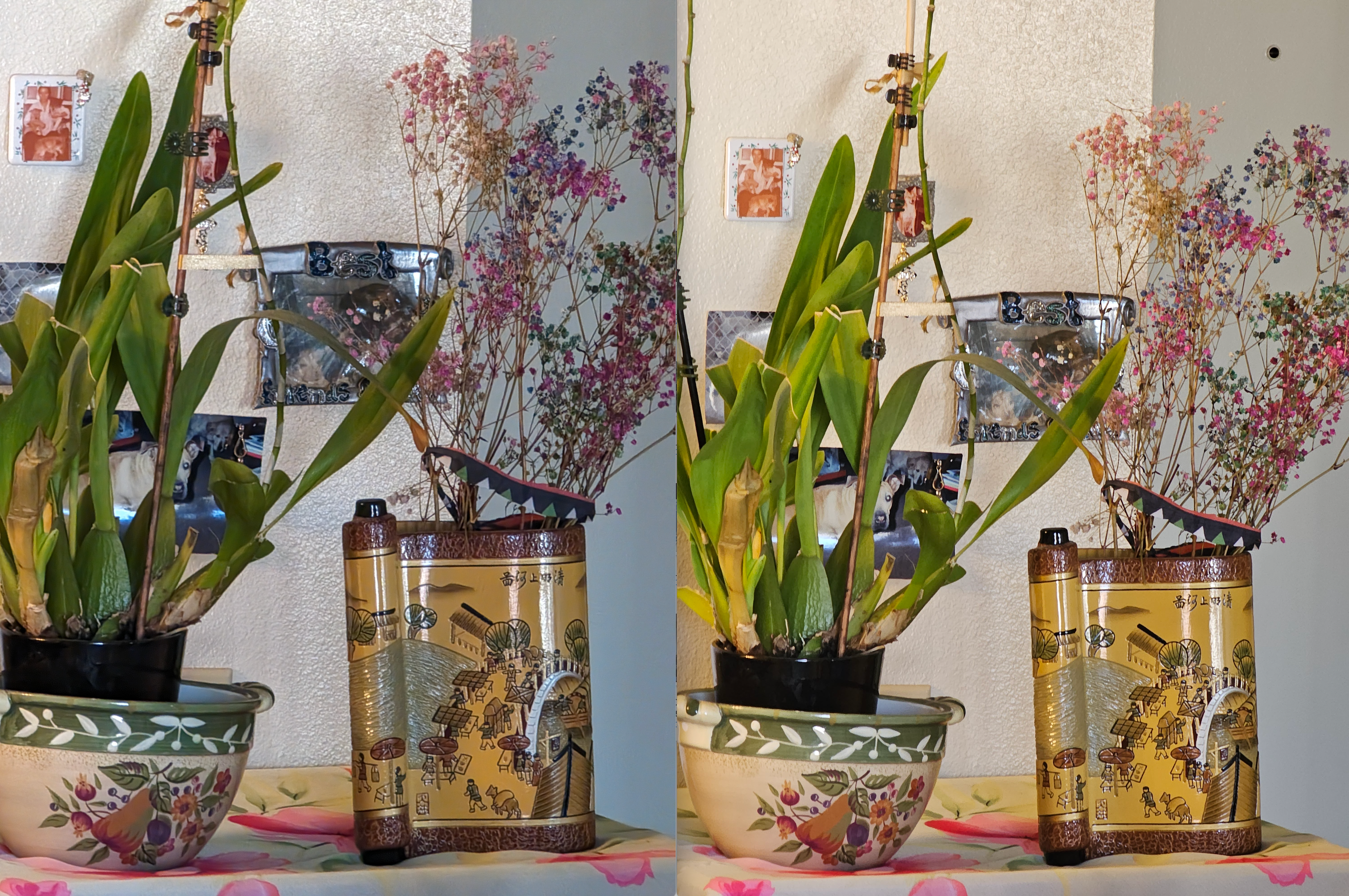 Main camera, Pixel 8 Pro (left); Galaxy S23 Ultra (right)