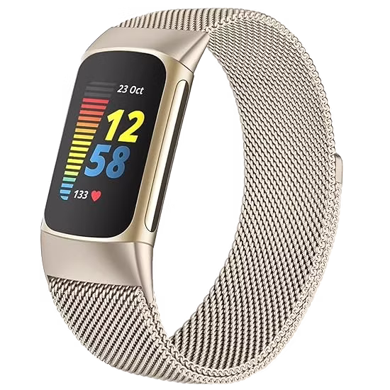 Fitbit Charge 6 Mesh Bracelet Silver