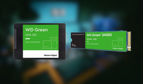 Western Digital 1TB WD Green Internal SSD and 1TB WD Green SN350 NVMe Internal SSD on blurred background