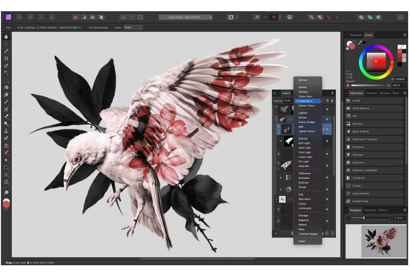 Affinity Photo 2 showing an image of a bird with the color picker and layers visible