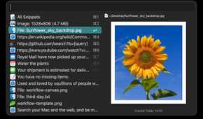 Alfred app showing a list of files with one selected.