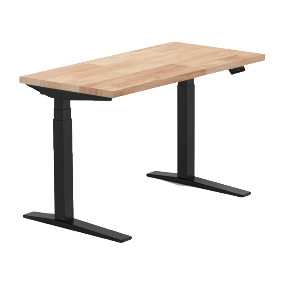 Premium Standing Desk (E7)