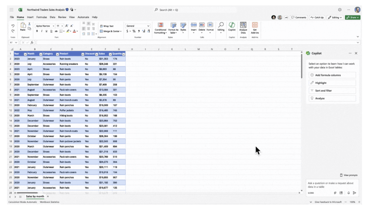 Copilit in Excel