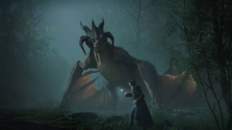 Hogwarts Legacy Image 2