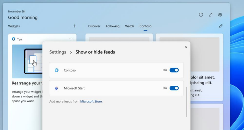 Screenshot of Windows 11 Widgets board settings showing the option to disable or enable feeds