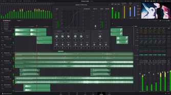 DaVinci Resolve advanced audio settings