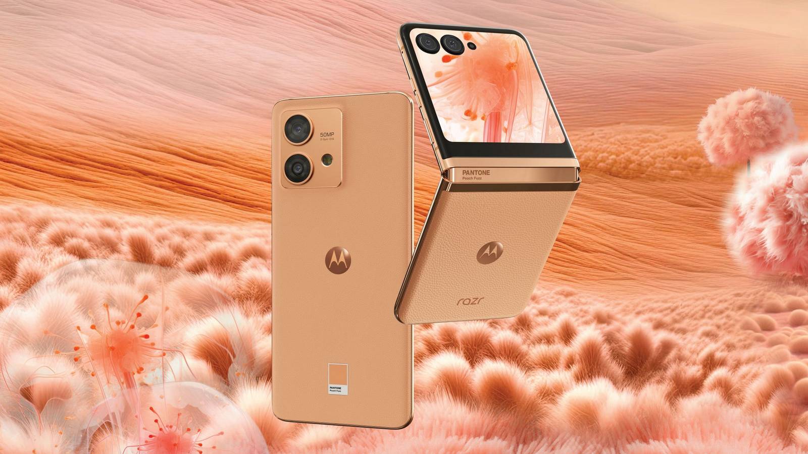 Motorola Razr phone in Peach Fuzz