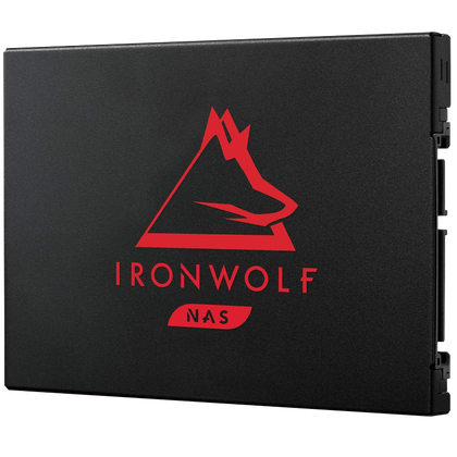 Seagate IronWolf 125