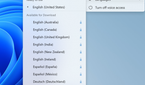 voice-access-new-langs-1