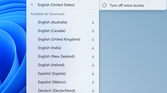 voice-access-new-langs-1