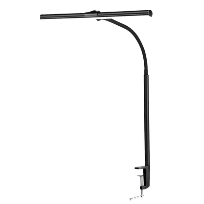 ACNCTOP Desk Lamp