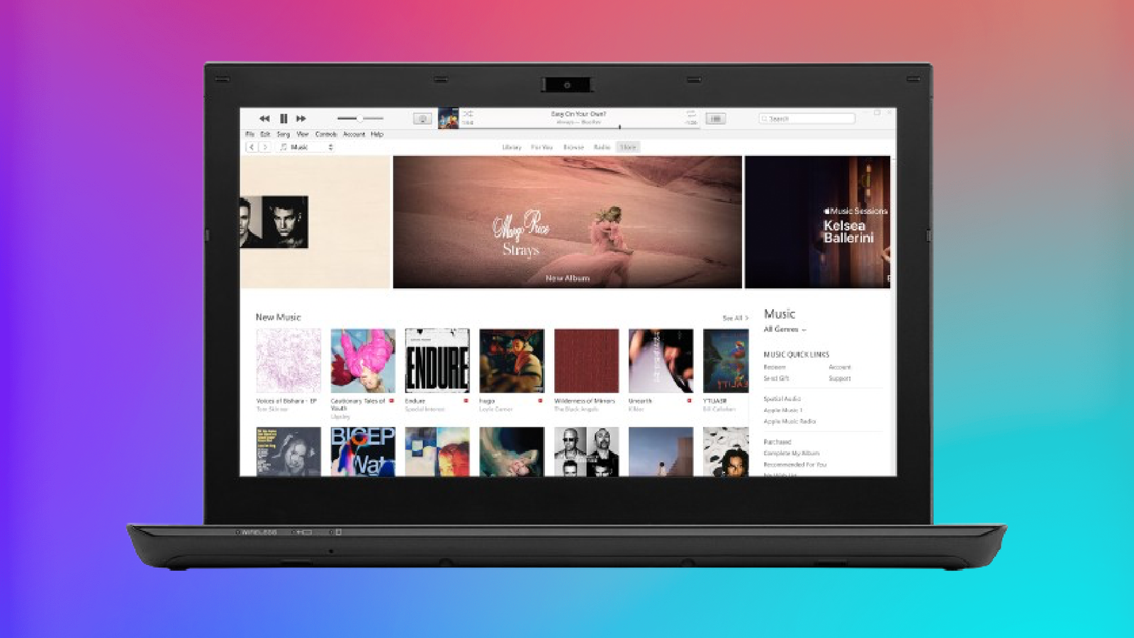 Apple iTunes running on a Windows laptop