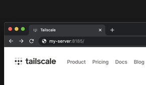 A screenshot from Tailscale's Docs showing MagicDNS in action.