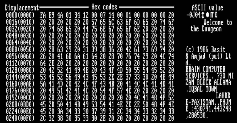 A screenshot of DOS displaying the Brain virus