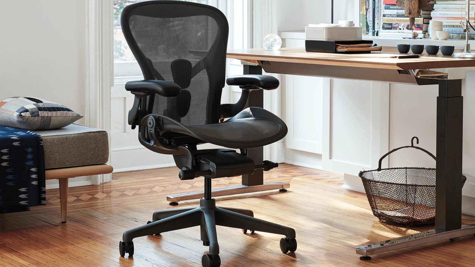 Best ergonomic office chairs in 20241