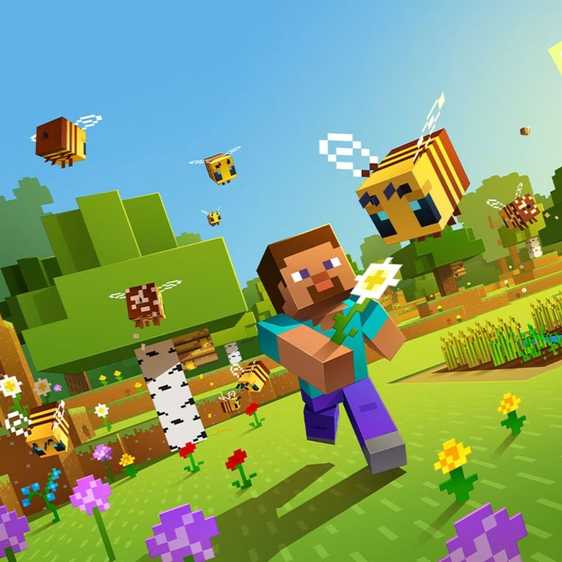 An image showing the box art of Minecraft video game.