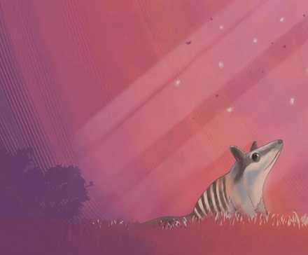 Linux 24.04 wallpaper