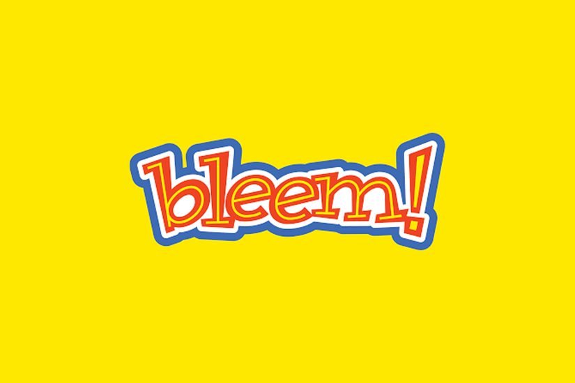 bleem-logo