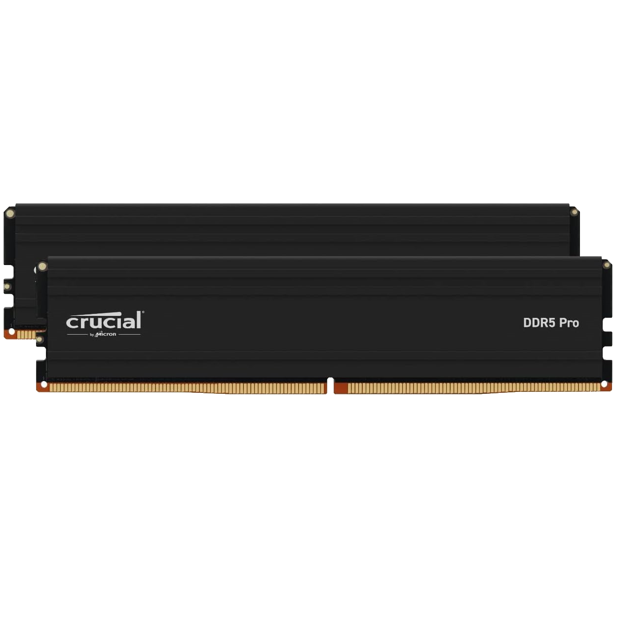 Crucial Pro DDR5