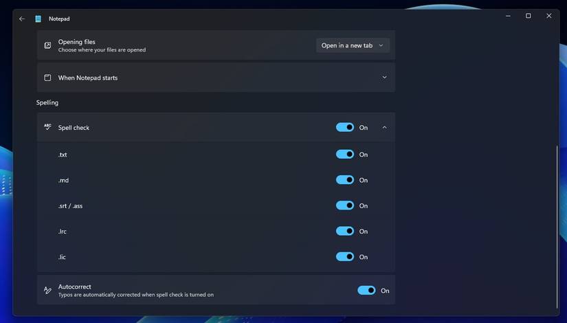 Screenshot showing spell checking for specific file types in Notepad settings