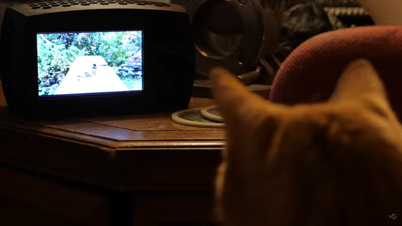 The Raspberry Pi cat TV back view