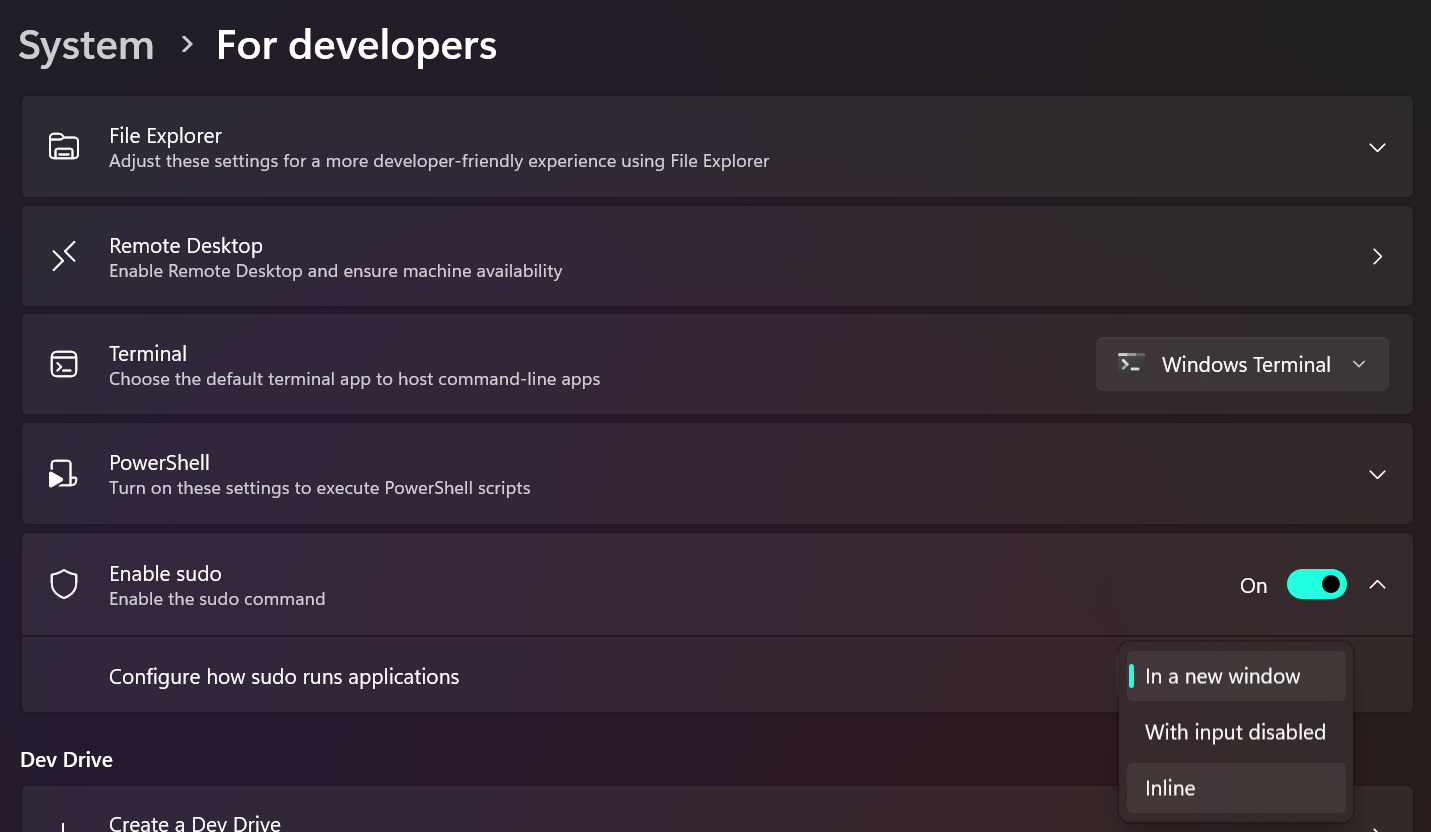 Screenshot of developer settings in Windows 11