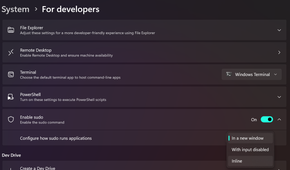 Screenshot of developer settings in Windows 11