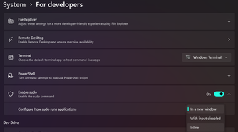 Screenshot of developer settings in Windows 11