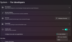 Screenshot of developer settings in Windows 11
