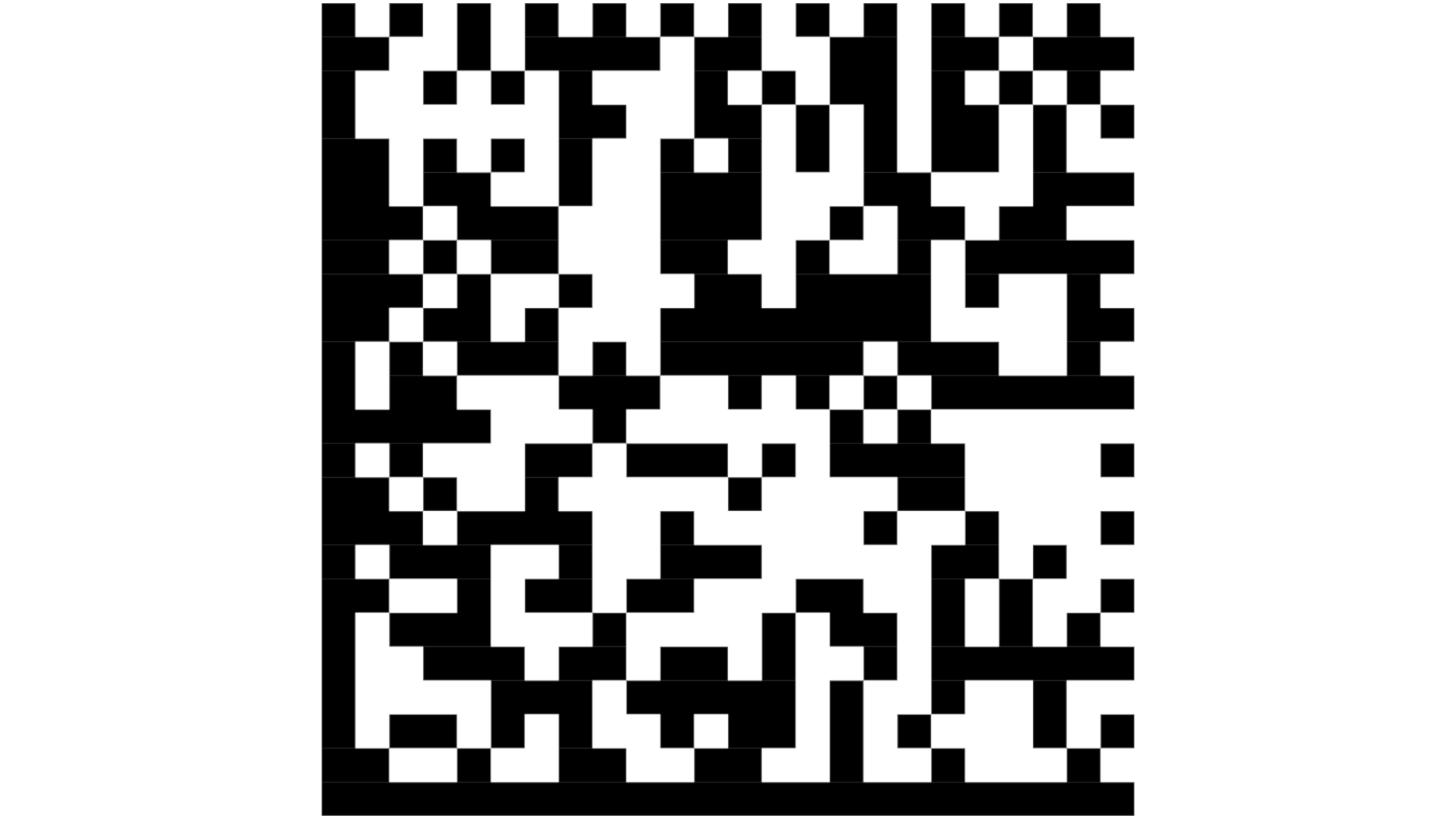 Image of an example data matrix.