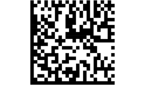 Image of an example data matrix.