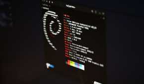 Debian Linux terminal window