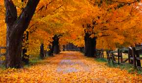 Autumn