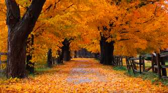Autumn