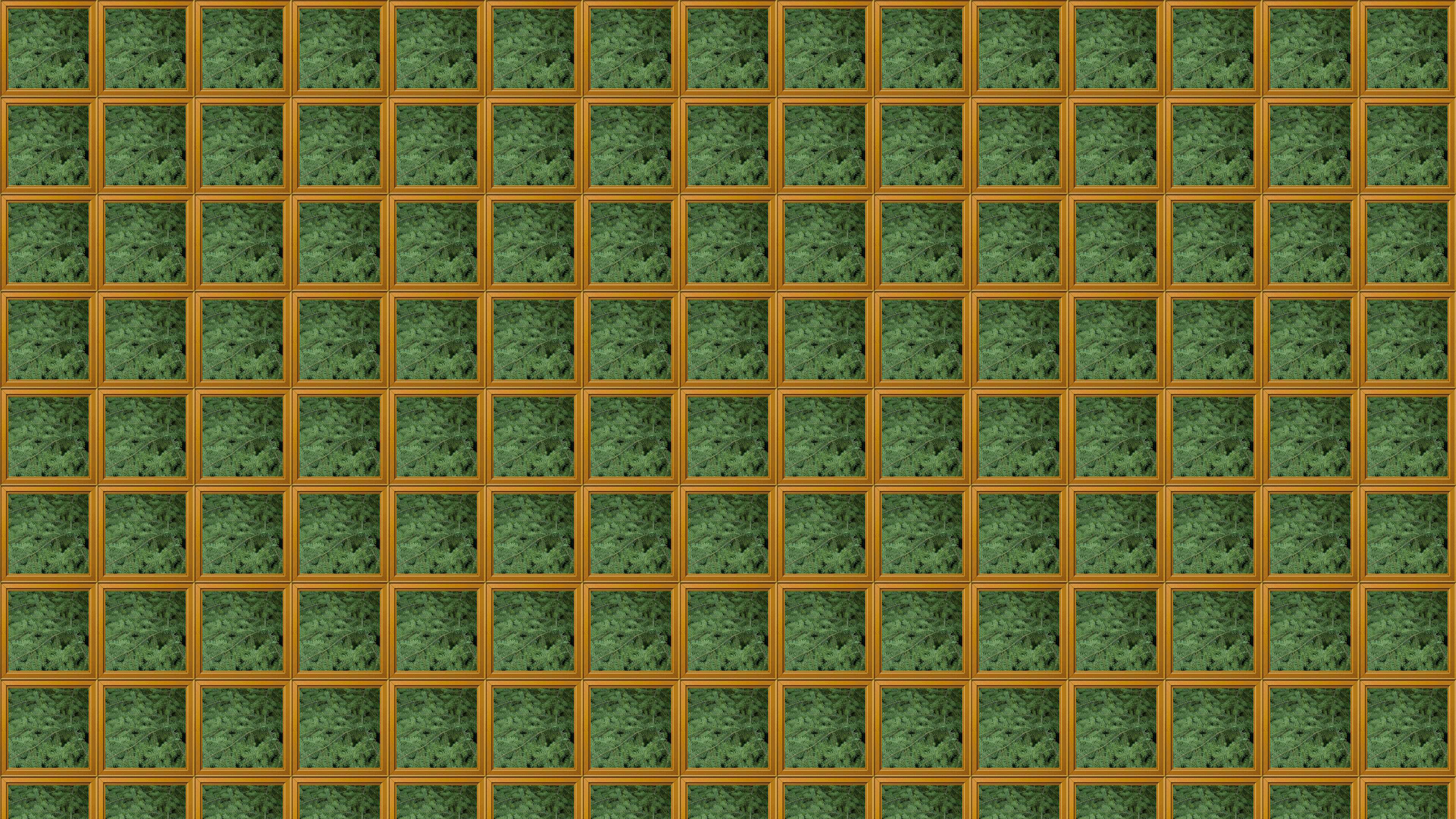 Forest 4K