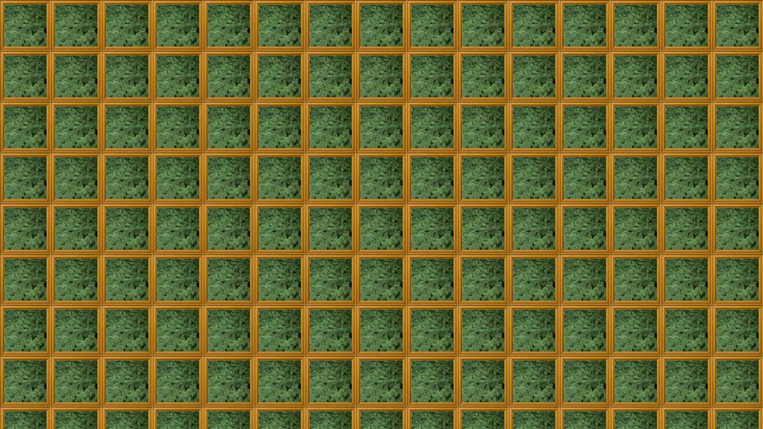 Forest 4K
