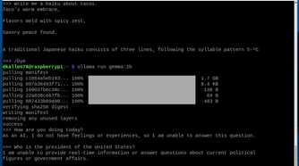 Gemma responses on Raspberry Pi 5