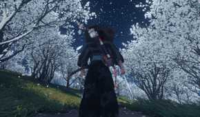 Screenshot from Ghost of Tsushima showing Jin standing among white trees